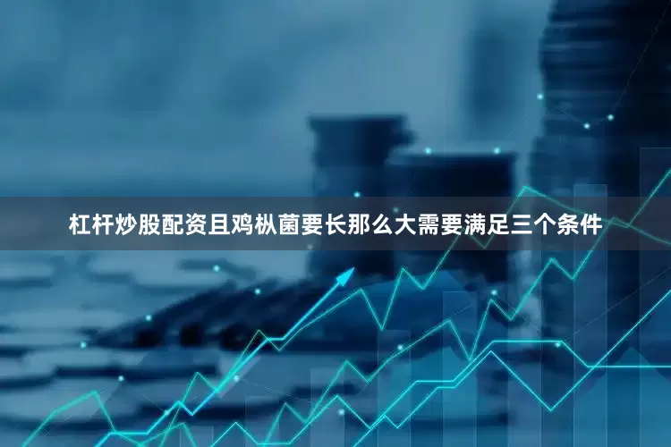 杠杆炒股配资且鸡枞菌要长那么大需要满足三个条件