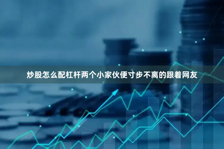 炒股怎么配杠杆两个小家伙便寸步不离的跟着网友
